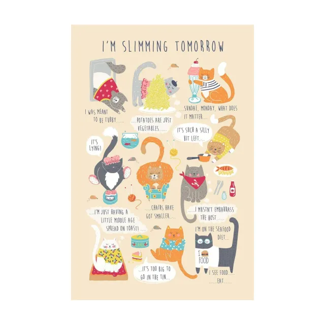 Ulster Weavers I'm Slimming Tomorrow viskestykke orange katte
