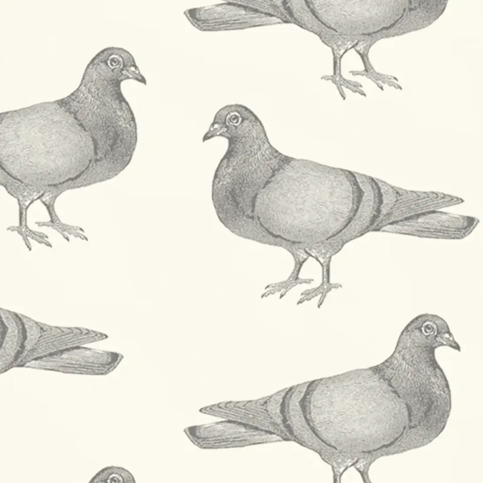 Thornback & Peel Pigeon tapetprøve grå 20x14 cm