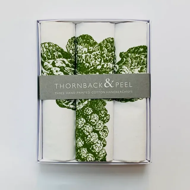Thornback & Peel Brussel Sprout lommetørklæde 3-pak gaveæske